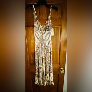 Elegant Paisley Print Silk Dress